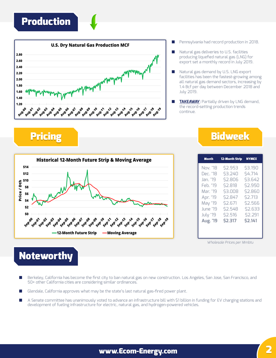 Ecom-Energy's August 2019 Market Update - Page 2