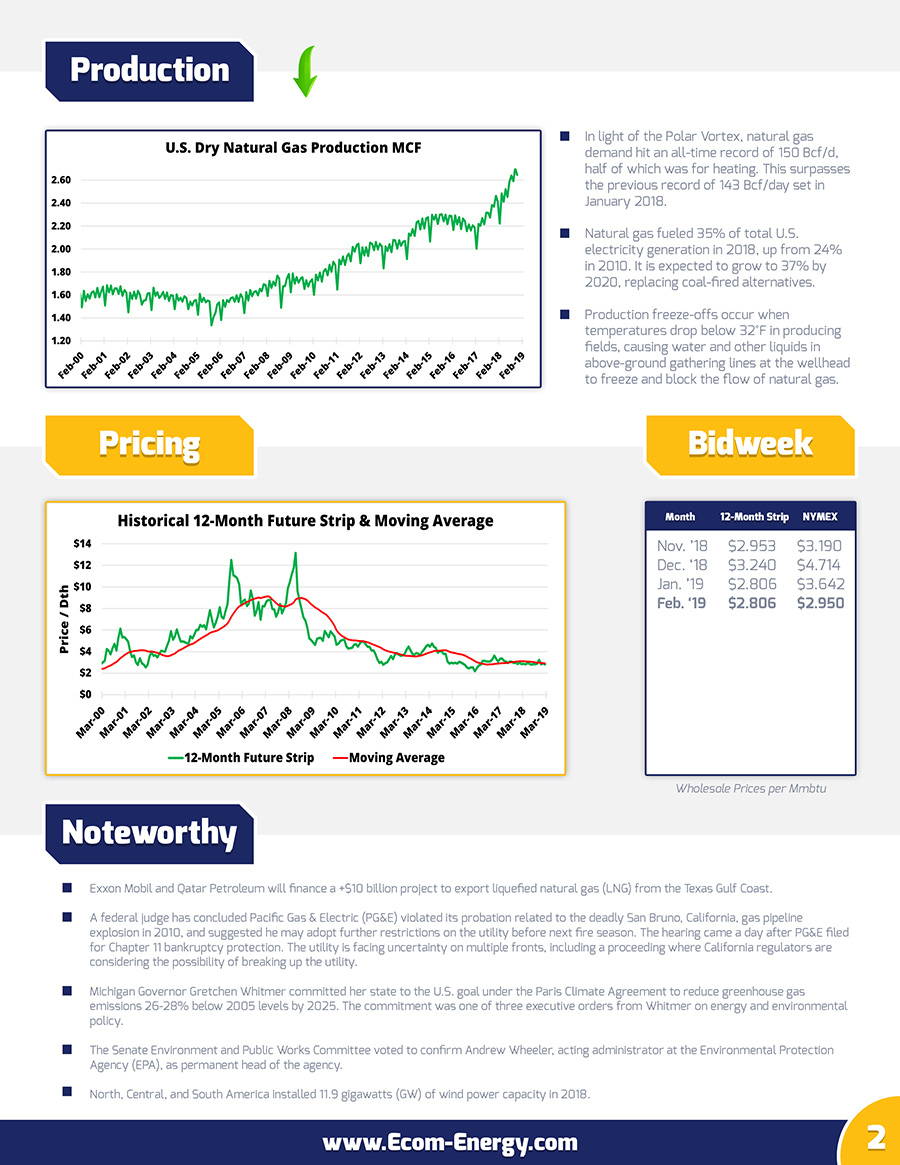 Ecom-Energy's February 2019 Market Update - Page 2